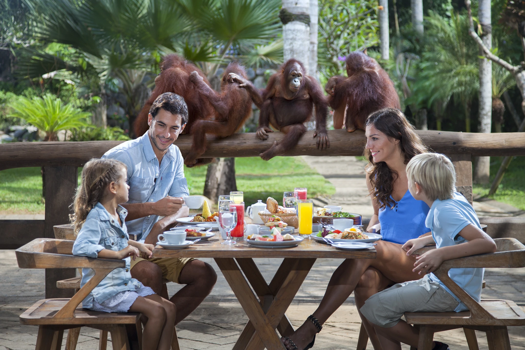 breakfast with orangutan at bali