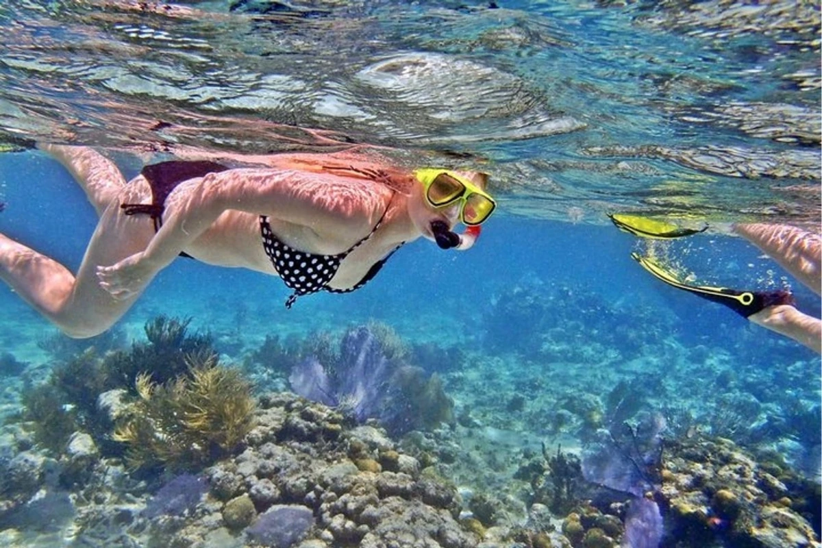 watersport snorkeling