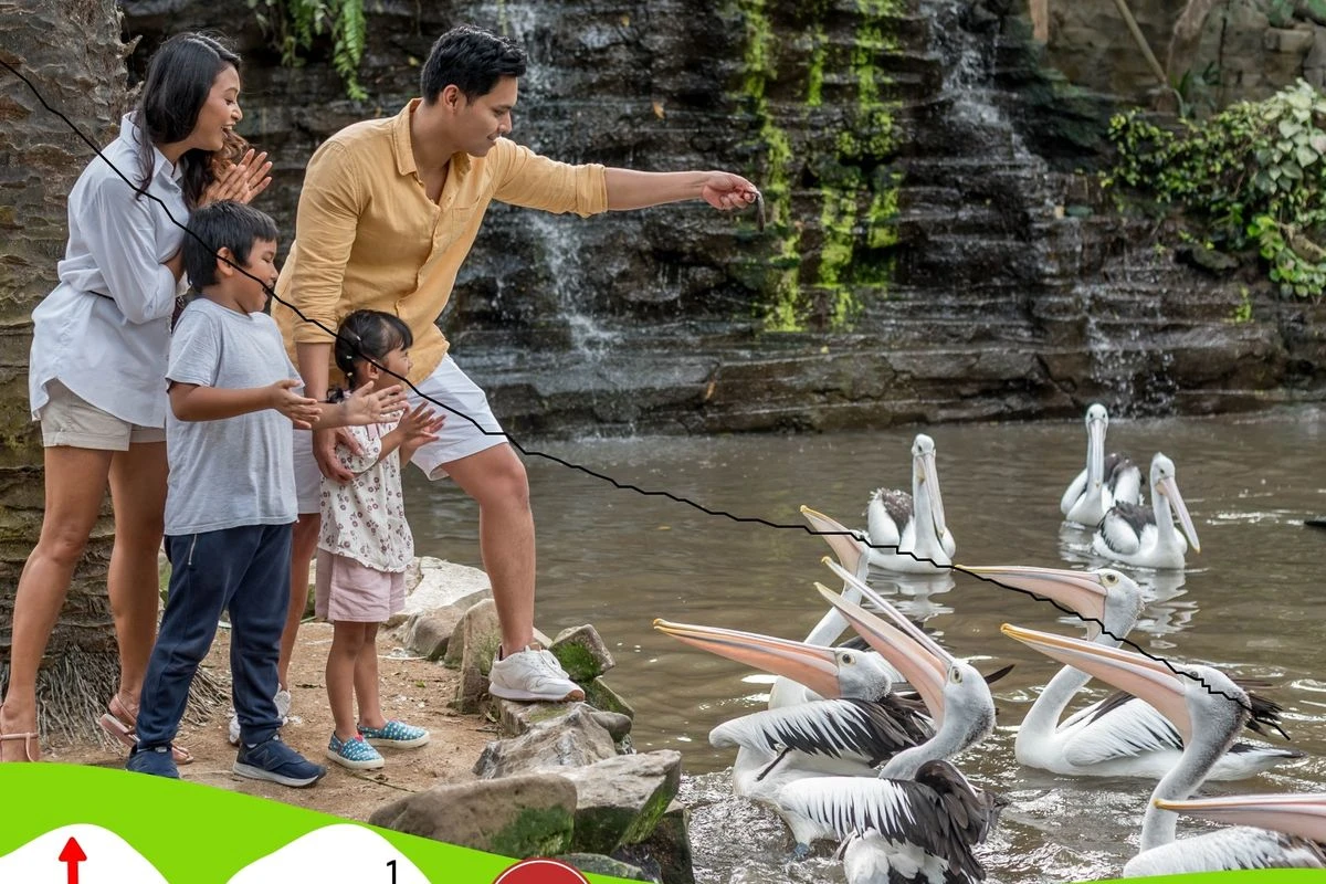bali bird park feed
