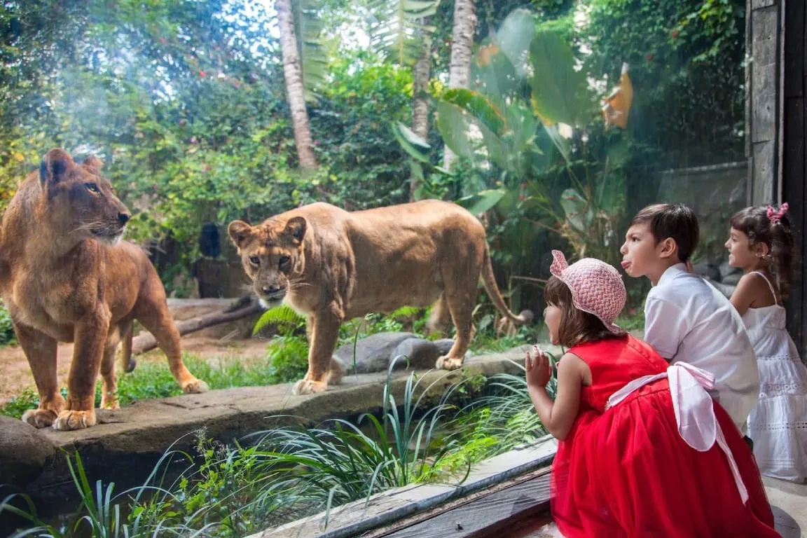 zoo