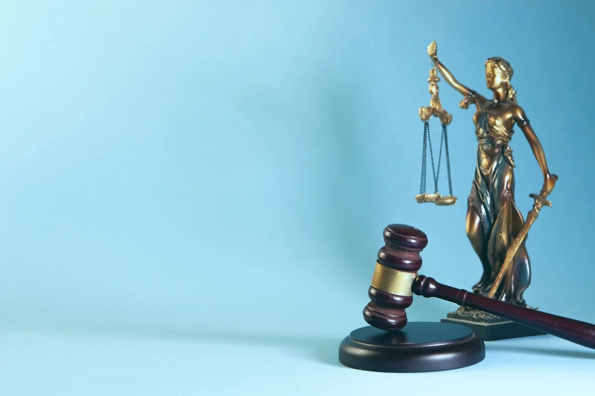 lawyer 2