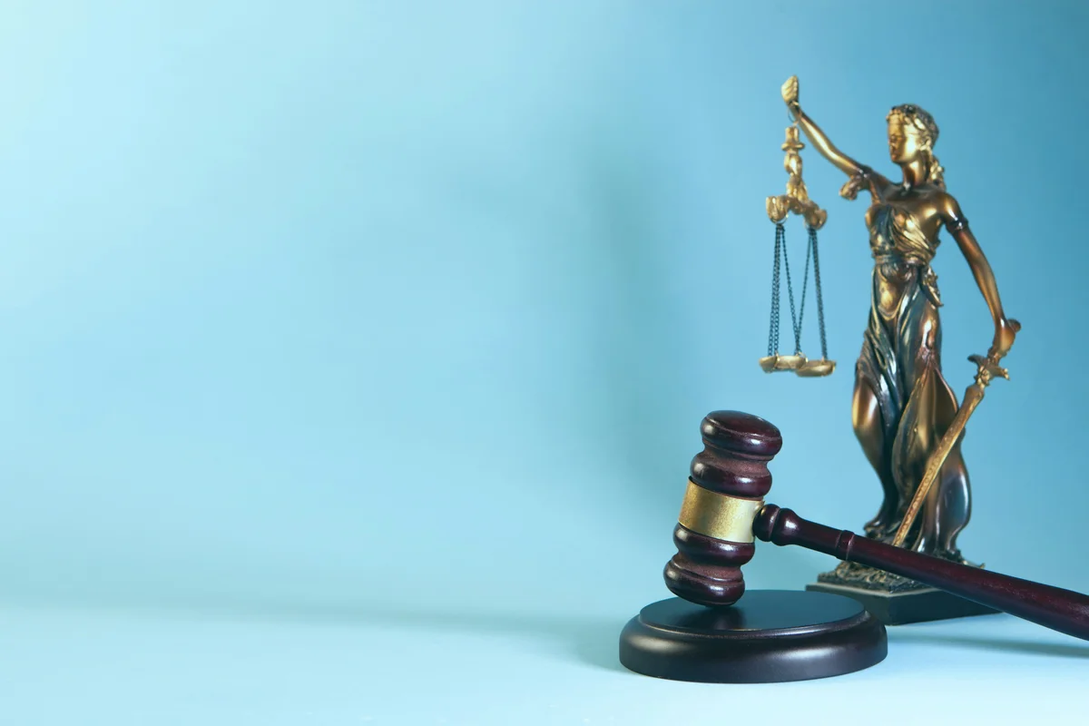 lawyer 6